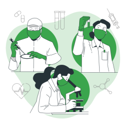 Image de la formation