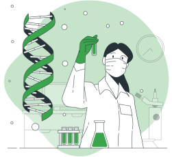 Image de la formation